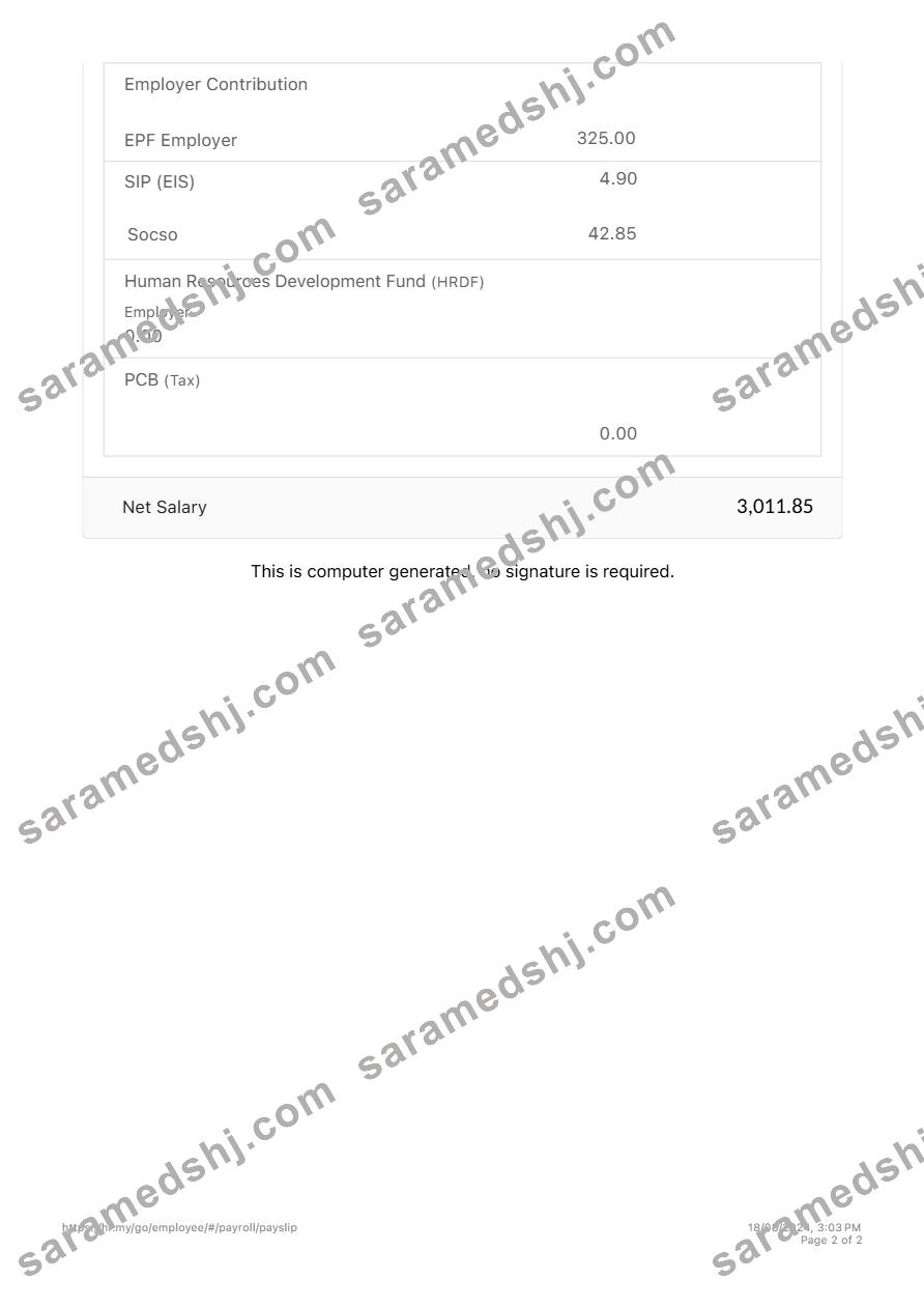 Zetronix payslip template in Word and PDF formats.pdf, 2